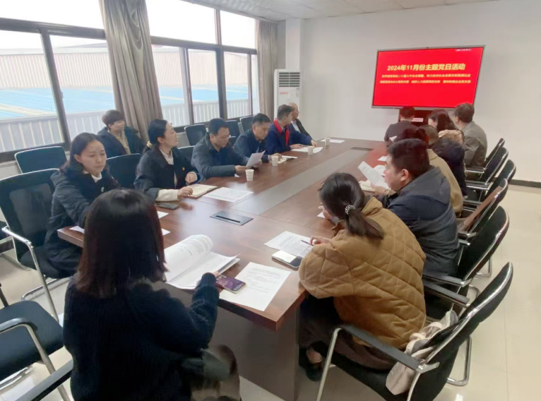 深入學(xué)習(xí)黨的二十屆三中全會(huì)精神，開展主題黨日活動(dòng)